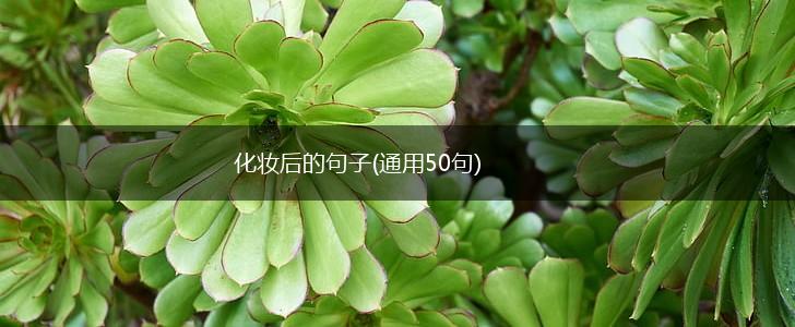 化妆后的句子(通用50句),第1张