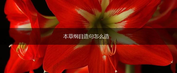本草纲目造句怎么造,第1张
