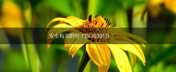安全有关的句子(实用30句),第1张
