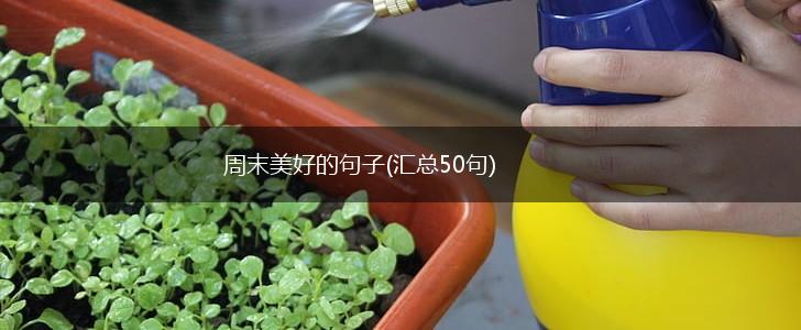 周末美好的句子(汇总50句),第1张