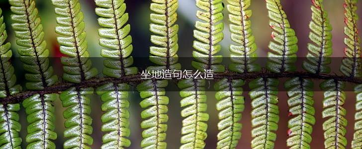 坐地造句怎么造,第1张
