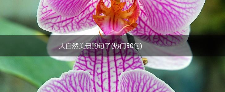 大自然美景的句子(热门50句),第1张