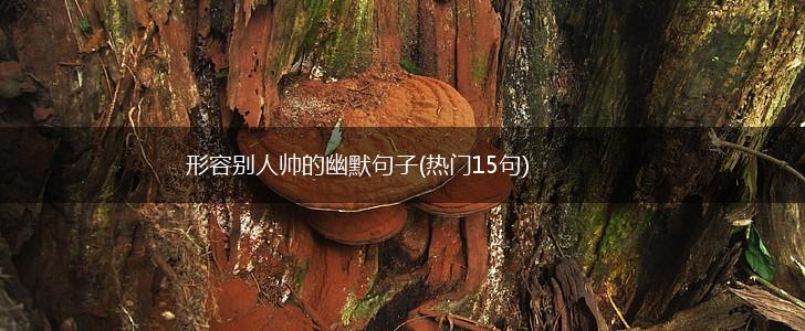 形容别人帅的幽默句子(热门15句),第1张