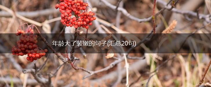 年龄大了装嫩的句子(汇总20句),第1张