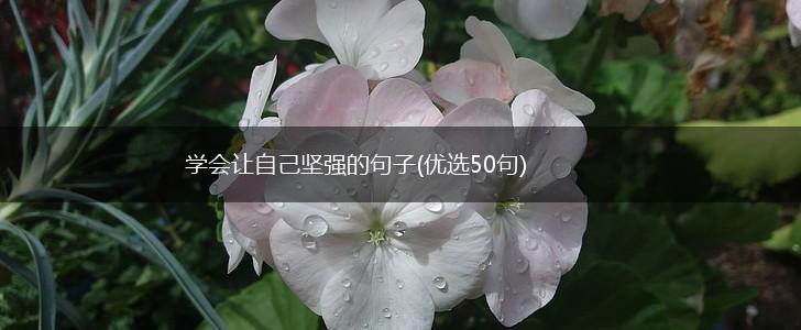学会让自己坚强的句子(优选50句),第1张