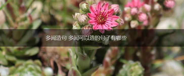 多闻造句 多闻可以造的句子有哪些,第1张