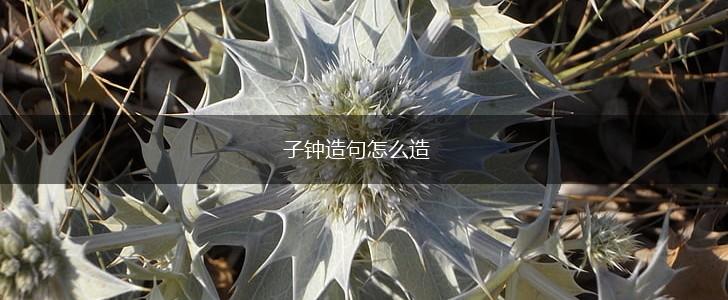 子钟造句怎么造,第1张
