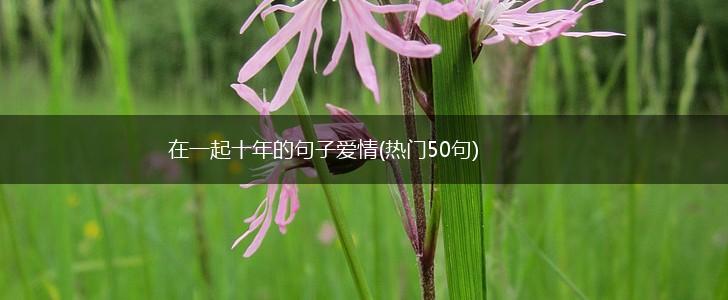 在一起十年的句子爱情(热门50句),第1张
