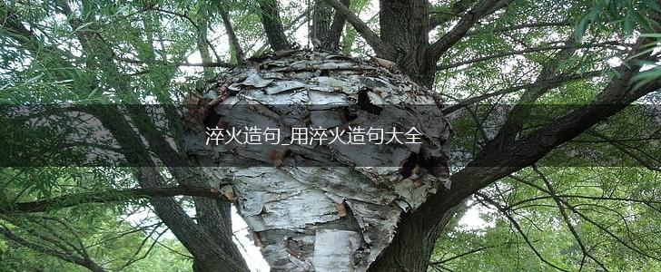 淬火造句_用淬火造句大全,第1张