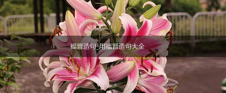 福晋造句_用福晋造句大全,第1张