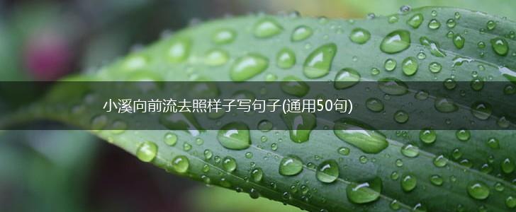 小溪向前流去照样子写句子(通用50句),第1张