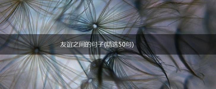 友谊之间的句子(精选50句),第1张