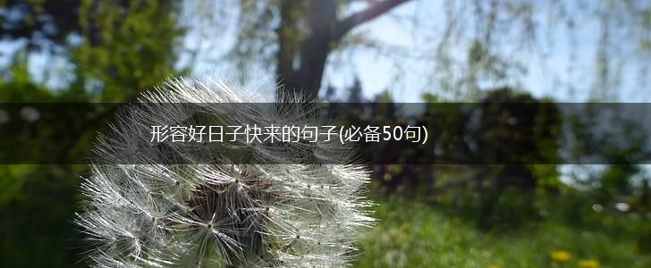 形容好日子快来的句子(必备50句),第1张
