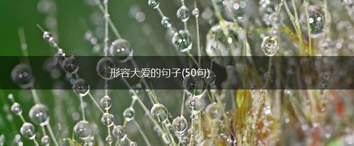 形容大爱的句子(50句),第1张