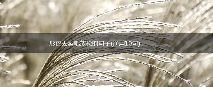 形容去酒吧放松的句子(通用10句),第1张