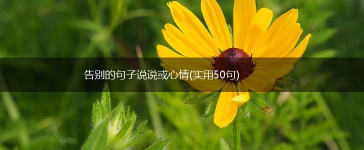 告别的句子说说或心情(实用50句),第1张