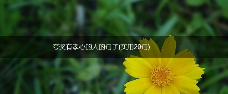夸奖有孝心的人的句子(实用20句),第1张