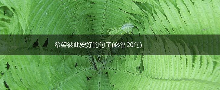 希望彼此安好的句子(必备20句),第1张