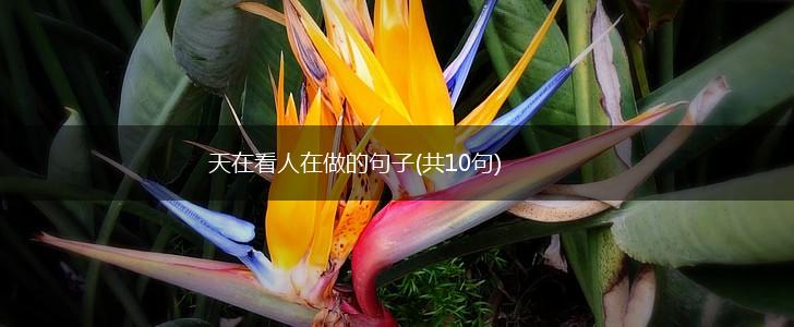 天在看人在做的句子(共10句),第1张