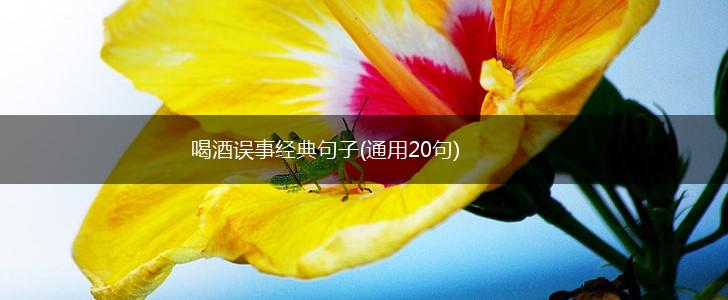喝酒误事经典句子(通用20句),第1张