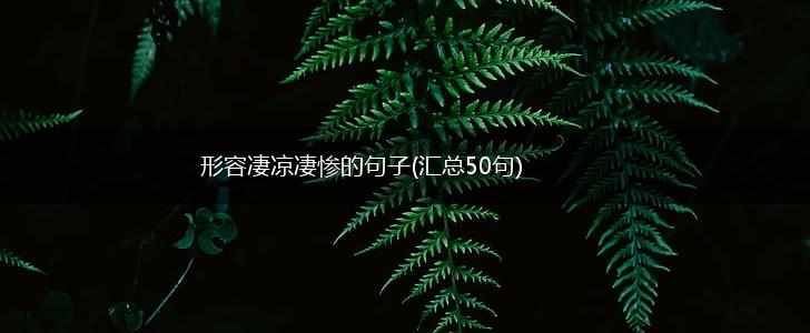 形容凄凉凄惨的句子(汇总50句),第1张