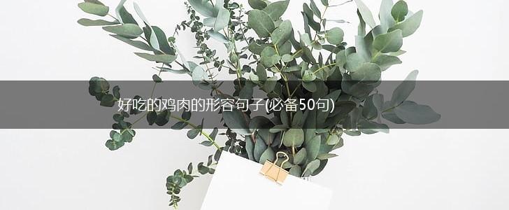 好吃的鸡肉的形容句子(必备50句),第1张