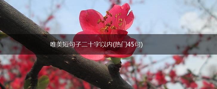 唯美短句子二十字以内(热门45句),第1张