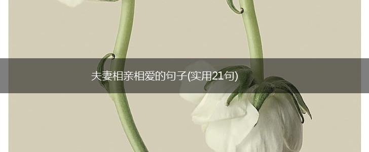 夫妻相亲相爱的句子(实用21句),第1张