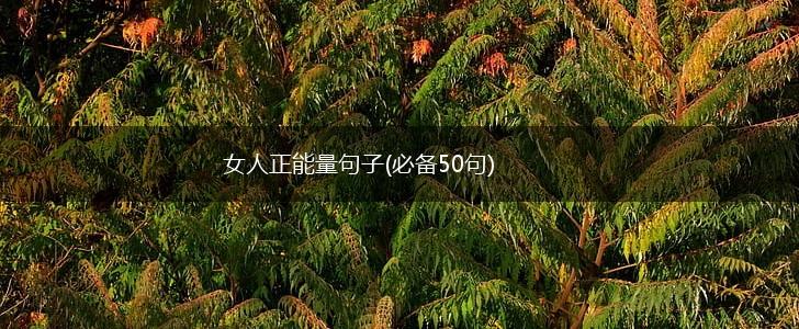 女人正能量句子(必备50句),第1张