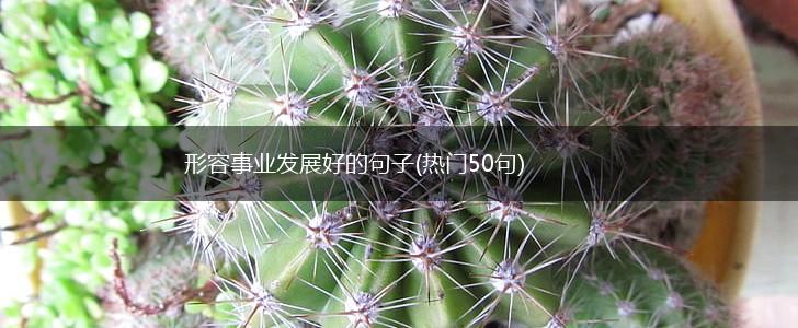 形容事业发展好的句子(热门50句),第1张