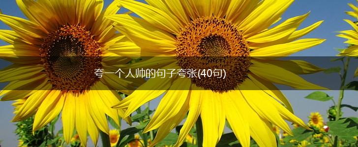 夸一个人帅的句子夸张(40句),第1张