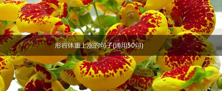 形容体重上涨的句子(通用50句),第1张