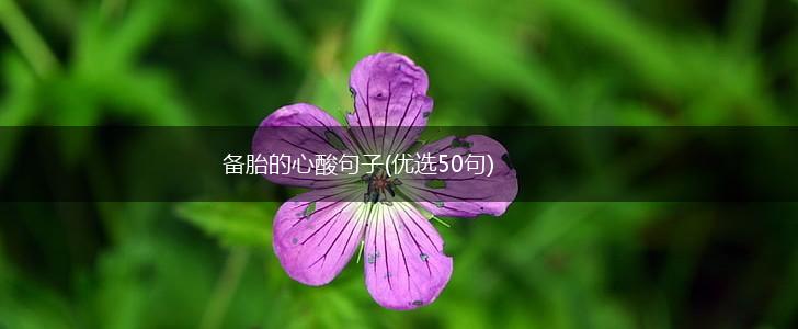 备胎的心酸句子(优选50句),第1张