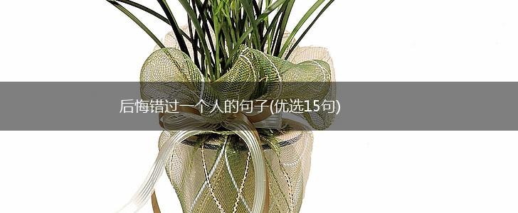 后悔错过一个人的句子(优选15句),第1张