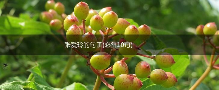 张爱玲的句子(必备10句),第1张