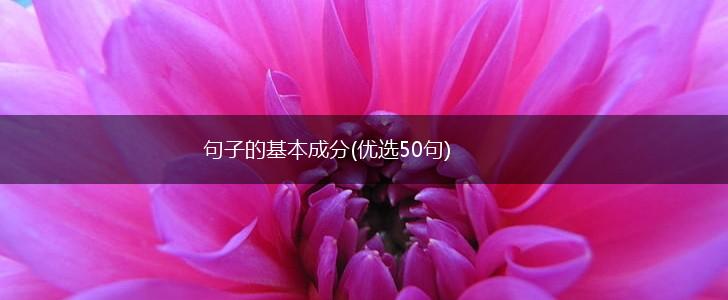 句子的基本成分(优选50句),第1张