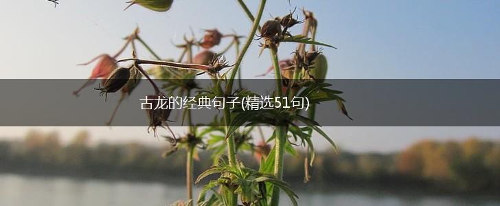 古龙的经典句子(精选51句),第1张