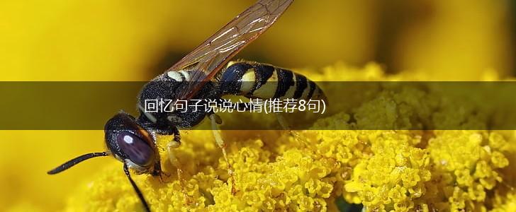 回忆句子说说心情(推荐8句),第1张