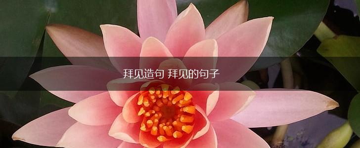 拜见造句 拜见的句子,第1张
