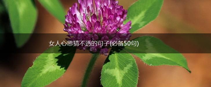 女人心思猜不透的句子(必备50句),第1张