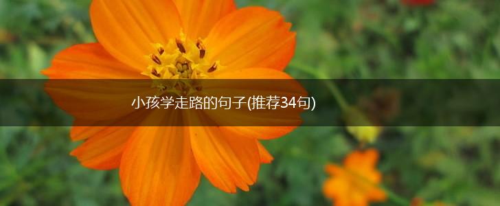 小孩学走路的句子(推荐34句),第1张