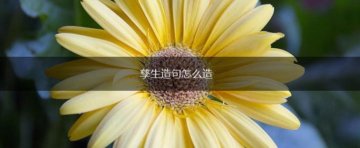 孳生造句怎么造,第1张