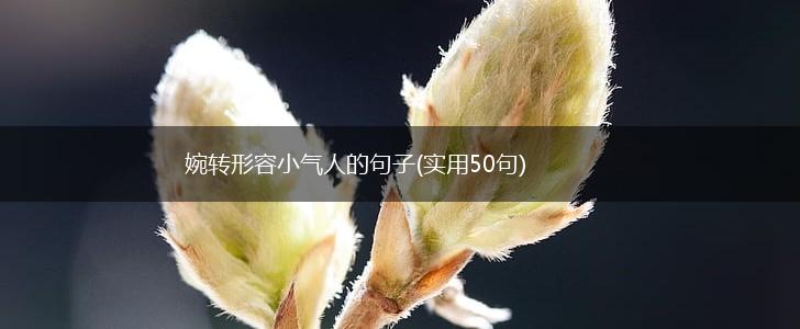 婉转形容小气人的句子(实用50句),第1张