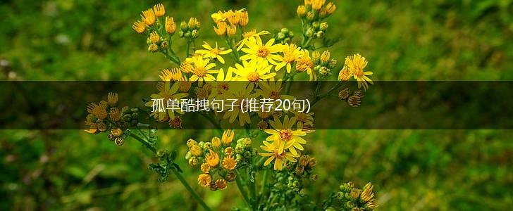 孤单酷拽句子(推荐20句),第1张