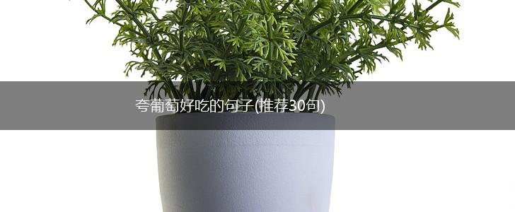 夸葡萄好吃的句子(推荐30句),第1张