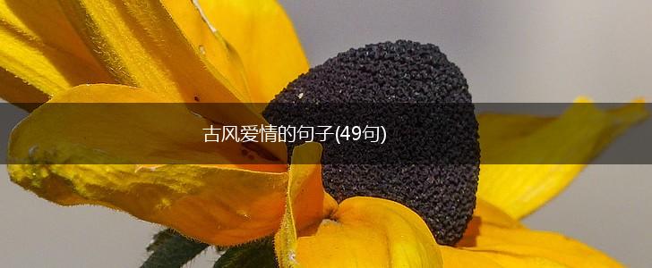 古风爱情的句子(49句),第1张