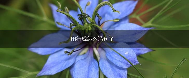 用行成怎么造句子,第1张