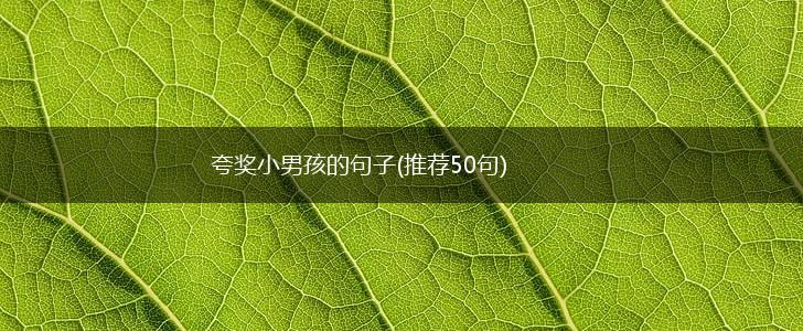 夸奖小男孩的句子(推荐50句),第1张