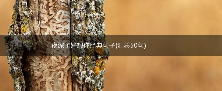 夜深了好想你经典句子(汇总50句),第1张