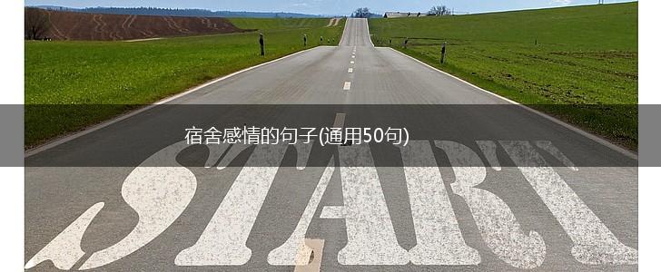 宿舍感情的句子(通用50句),第1张